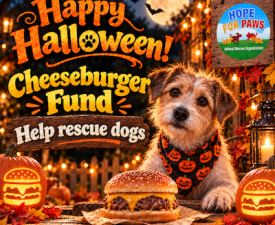 Donate Now