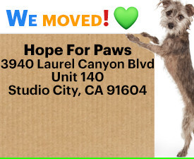 New Address