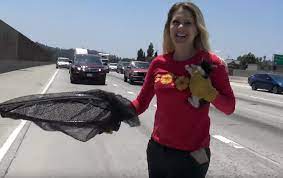 A helpless kitten was stuck in the middle of the highway