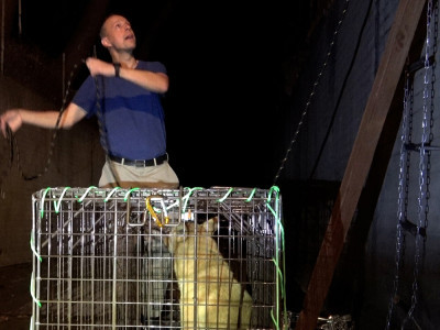 It Took a Village to Save This L.A. River Dog and then we learned how he got there 😧