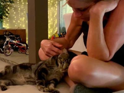 Petey - injured street cat surrenders to being loved.