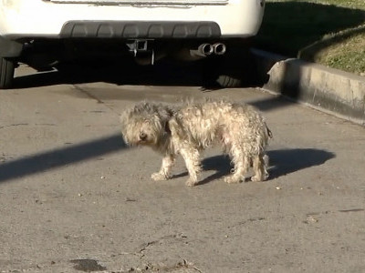 I surprised this homeless Elf and the result was a Christmas Miracle. 🎄🎁