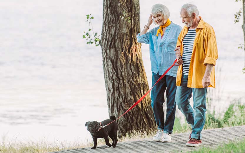 Couple walking their dog