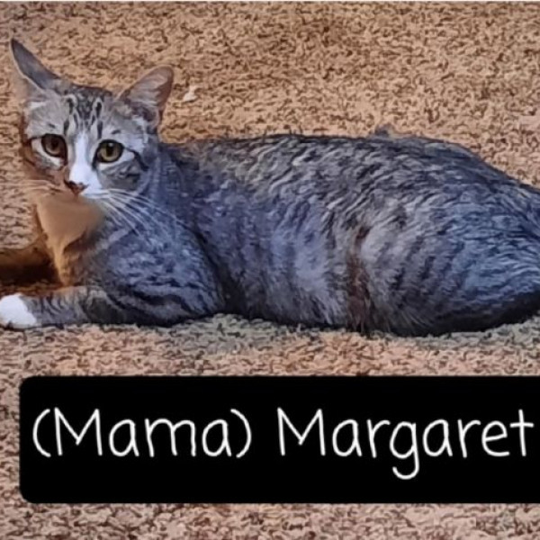 adopt Mama Margaret