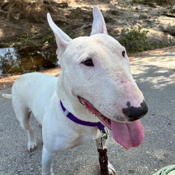adopt Emma (Mama)