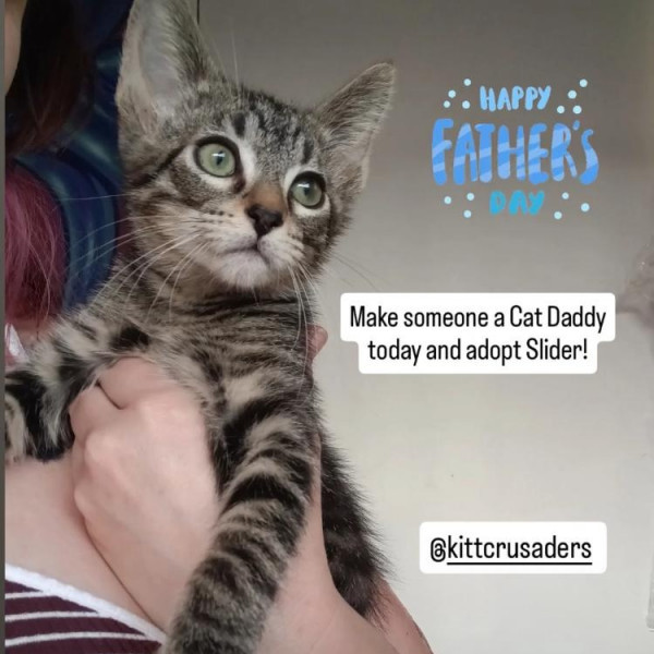 adopt Slider
