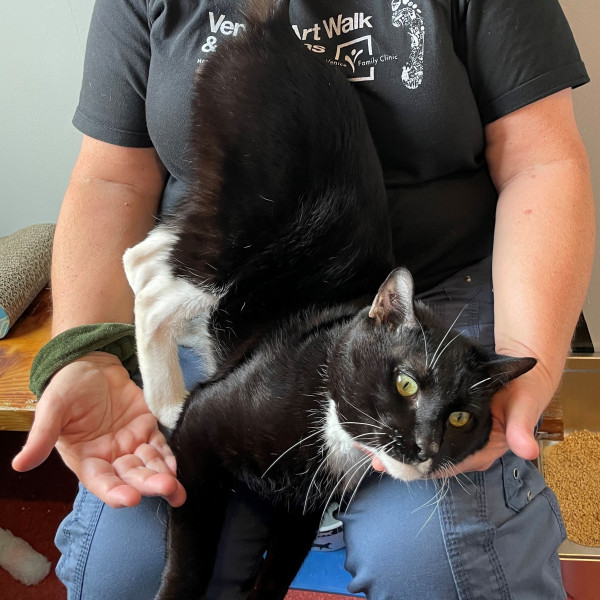 adopt Hades