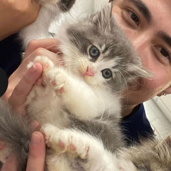 adopt Puffy